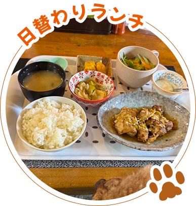 日替わりランチ