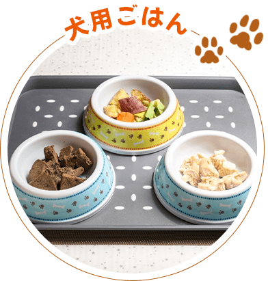 犬用ごはん